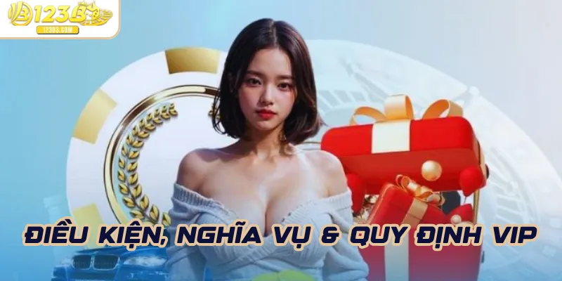 Điều kiện, nghĩa vụ & quy định VIP